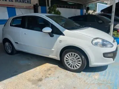 Usata Fiat Punto Evo Active 77 CV (56 kW) 2010 Bianco Utilitaria