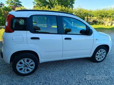Usata Fiat Panda 85 CV (62 kW) 2013 Bianco Utilitaria