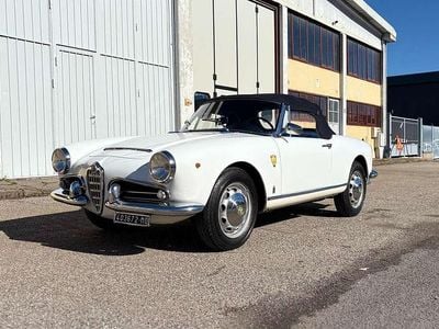 Usata Alfa Romeo Giulia Spider 91 CV (66 kW) 1963 Bianco Cabrio