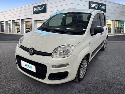 Usata Fiat Panda Easy 70 CV (51 kW) 2020 Bianco Utilitaria