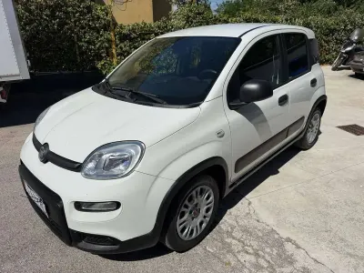 Usata Fiat Panda Cross Cross 69 CV (50 kW) 2023 Bianco Utilitaria