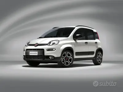 Usata Fiat Panda 4x4 Wild 84 CV (61 kW) 2021 Bianco Utilitaria