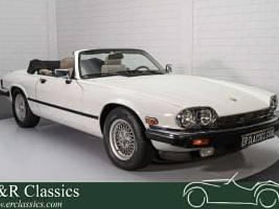 Usata Jaguar XJS 277 CV (203 kW) 1991 Bianco Cabrio