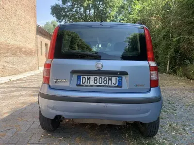 Usata Fiat Panda Dynamic 60 CV (44 kW) 2008 Utilitaria