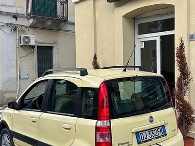 Usata Fiat Panda 4x4 69 CV (50 kW) 2007 Giallo Utilitaria