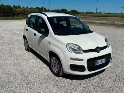Usata Fiat Panda 69 CV (50 kW) 2013 Bianco Utilitaria