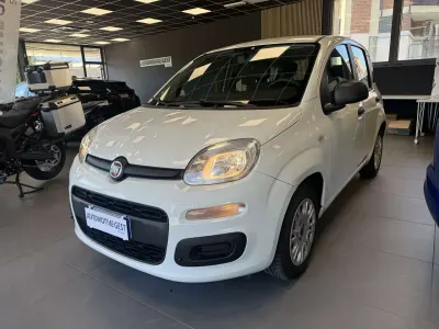 Usata Fiat Panda Easy 69 CV (50 kW) 2017 Bianco Utilitaria