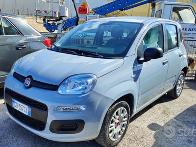 usata Fiat Panda Panda 1.2 Pop