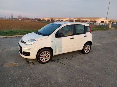 usata Fiat Panda 0.9 t.air t. natural power Easy 80cv