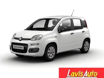 Usata Fiat Panda Easy 69 CV (50 kW) 2018 Bianco Utilitaria