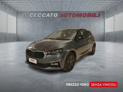 Usata Skoda Fabia