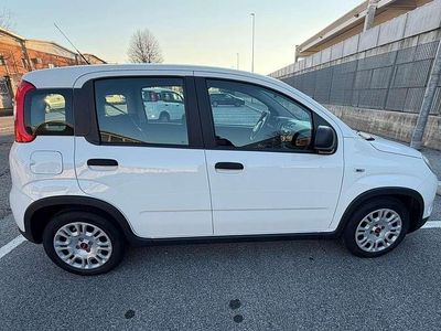 Usata Fiat Panda S 69 CV (50 kW) 2024 Bianco Utilitaria