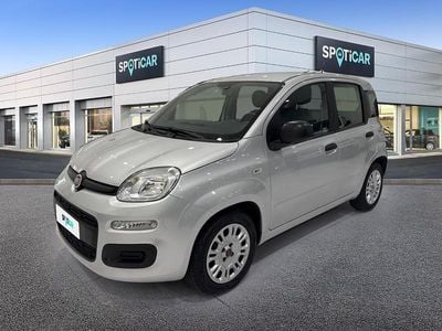 Usata Fiat Panda Easy 70 CV (51 kW) 2021 Grigio Utilitaria