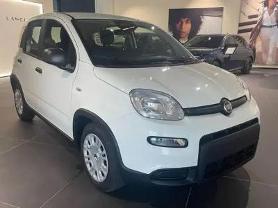 Usata Fiat Panda