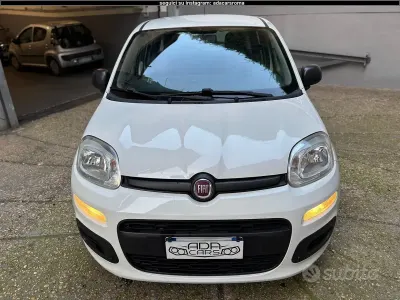 Usata Fiat Panda Lounge 69 CV (50 kW) 2020 Bianco Utilitaria