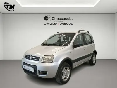 Usata Fiat Panda 4x4 69 CV (50 kW) 2009 Argento Utilitaria
