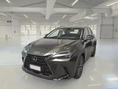 Usata Lexus NX450h+ 184 CV (135 kW) 2023 SUV