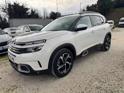 Usata Citroën C5 Aircross Shine 131 CV (96 kW) 2019 Bianco SUV