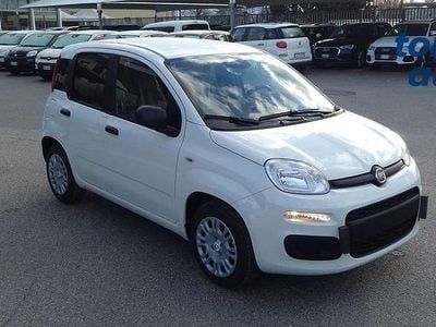 Usata Fiat Panda S 69 CV (50 kW) 2024 Bianco Utilitaria