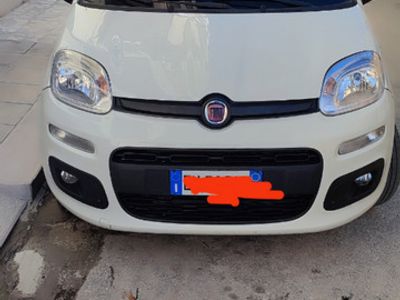 usata Fiat Panda Panda 1.2 EasyPower Young