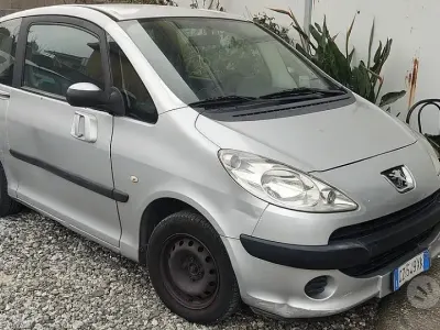 Usata Peugeot 1007