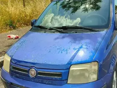 Usata Fiat Panda