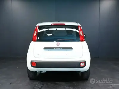 Usata Fiat Panda Easy 69 CV (50 kW) 2017 Bianco Utilitaria