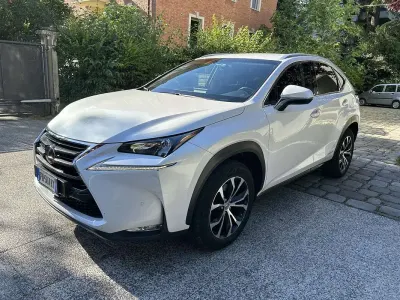 Usata Lexus NX300h Sport Line 197 CV (144 kW) 2016 SUV