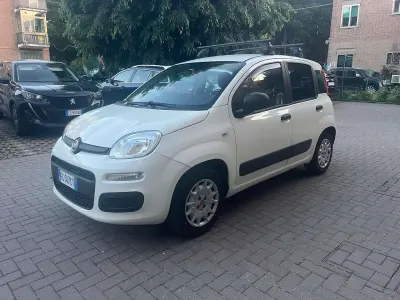 Usata Fiat Panda Easy 69 CV (50 kW) 2016 Other Utilitaria
