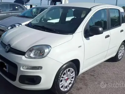 Usata Fiat Panda Easy 69 CV (50 kW) 2020 Bianco Utilitaria