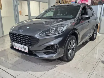 Usata Ford Kuga ST 152 CV (111 kW) 2023 Grigio SUV