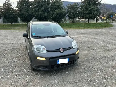 Usata Fiat Panda S 69 CV (50 kW) 2023 Marrone Utilitaria