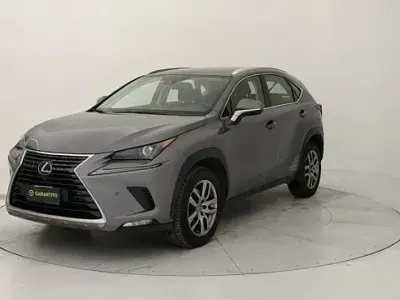Usata Lexus NX300h Business Edition 197 CV (144 kW) 2021 Grigio SUV