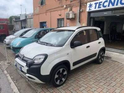 Usado Fiat Panda Cross Cross 70 CV (51 kW) 2020 Blanco Utilitario
