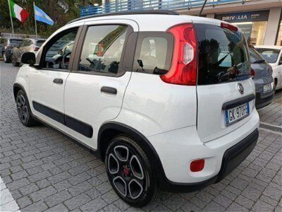 usata Fiat Panda Cross 1.0 FireFly S&S Hybrid City usato