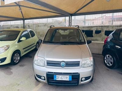 Usata Fiat Panda 4x4 Climbing 69 CV (50 kW) 2007 Grigio Utilitaria