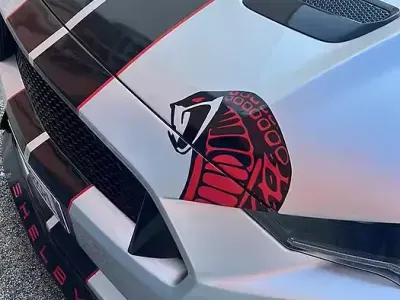 Usata Ford Mustang 290 CV (213 kW) 2018