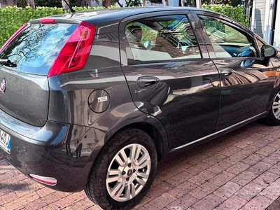 Usata Fiat Punto 95 CV (69 kW) 2016 Grigio Utilitaria