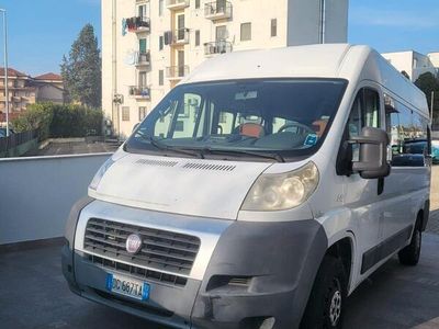 usata Fiat Ducato 9 POSTI