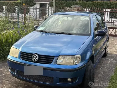 Usata VW Polo
