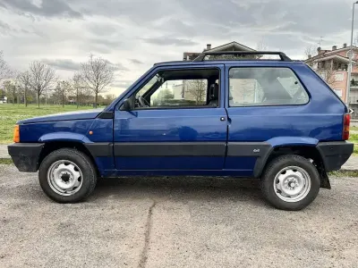 Usata Fiat Panda 4x4 Trekking 54 CV (39 kW) 2002 Utilitaria