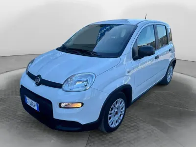Usata Fiat Panda 70 CV (51 kW) 2024 Bianco Utilitaria