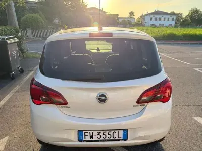 Usata Opel Corsa Edition 90 CV (66 kW) 2019 Utilitaria