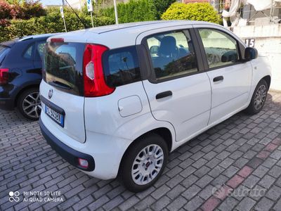 usata Fiat Panda Panda 1.3 MJT S&S Easy