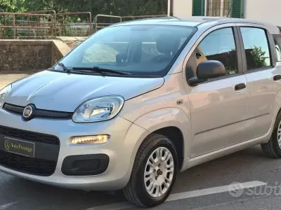 Usata Fiat Panda Pop 69 CV (50 kW) 2017 Grigio Utilitaria