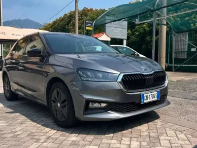Usata Skoda 110 R