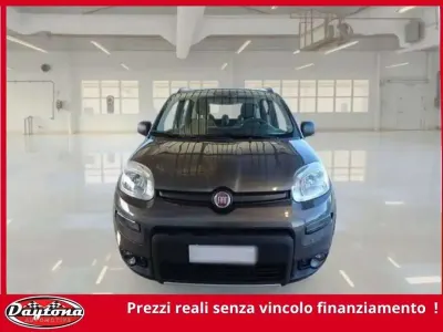 Usata Fiat Panda 4x4 Wild 86 CV (63 kW) 2021 Grigio Utilitaria