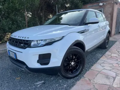Usata Land Rover Range Rover evoque Pure 150 CV (110 kW) 2014 Bianco SUV