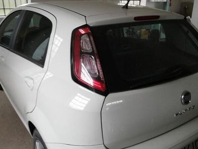 usata Fiat Punto Evo - 2014