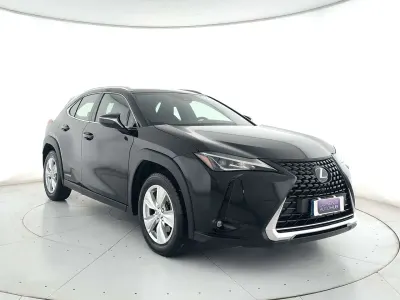 Usata Lexus UX 250h